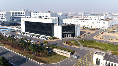 諾泰生物董事長(zhǎng)童梓權(quán) 在行業(yè)激流中錨定“小而美”，以專(zhuān)注鍛造生物科技韌性